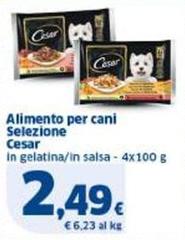 Cesar - Alimento Per Cani Selezione