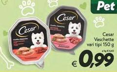 Cesar - Vaschette