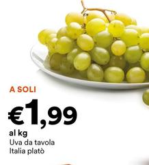 Uva Da Tavola Italia Plato