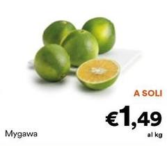 Mygawa