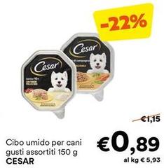 Cesar - Cibo Umido Per Cani