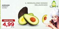 Avocado