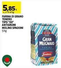 Molino spadoni - Farina Di Grano Tenero Tipo 