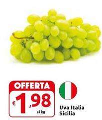 Uva Italia Sicilia