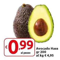 Avocado Hass