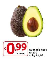 Avocado Hass