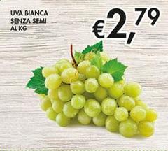 Uva Bianca Senza Semi 