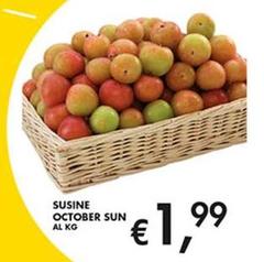 Sucine