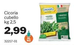 Orogel - Cicoria Cubello