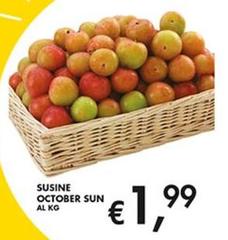 Sucine
