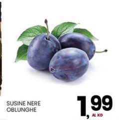 Sucine Nere Oblunghe