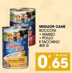 Morando - Miglior Cane Bocconi