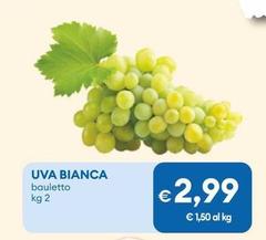 Uva Bianca