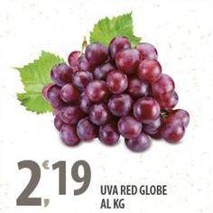 Uva Red Globe