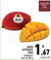 Sapori - Mango &Idee