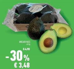 Avocado Hass