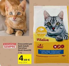 Selection carrefour - Croccantini Per Gatti Adulti