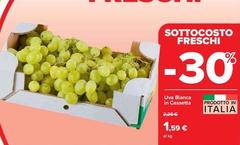 Uva Blanca In Cassetta