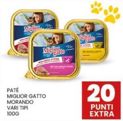 Morando - Pate Miglior Gatto