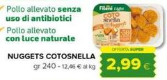 Fileni - Nuggets Cotosnella