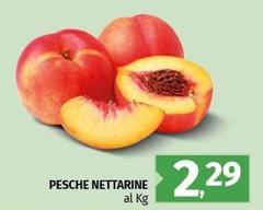 Pesche Nettarine