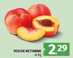 Pesche Nettarine