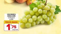 Semi - Uva Bianca Senza
