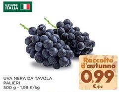 Origine - Uva Nera Da Tavola