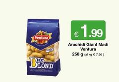 Ventura - Arachidi Giant Madi