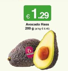 Avocado Hass
