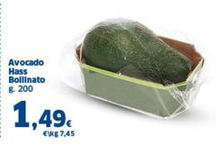 Avocado Hass Bollinato