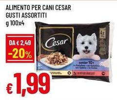 Cesar - Alimento Per Cani Gusti Assortiti