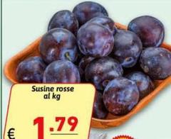 Sucine Rosse