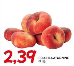 Pesche Saturnine