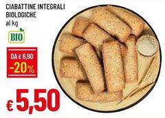 Bio - Ciabattine Integrali logiche