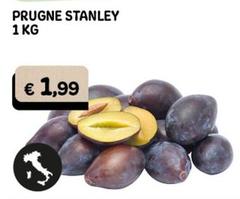 Prugne Stanley