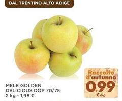 Trentino - Mele Golden Delicious DOP 70/75
