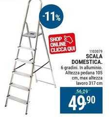 Scala Domestica