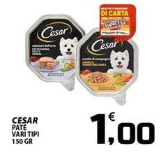 Cesar - Pate