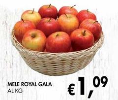 Royal - Mele Gala