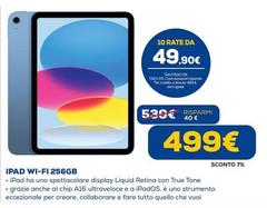Ipad Wi-fi 256gb