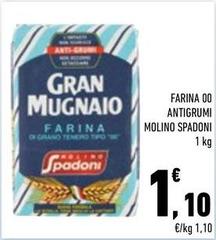 Molino Spadoni - Farina 00 Antigrumi