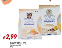 Monge - Special Dog