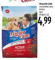 Morando - Miglior Cane Crocchette Cane Active