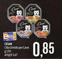 Cesar - Cibo Umido Per Cane