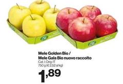 Bio - Mele Golden / Mele Gala  Nuovo Raccolto