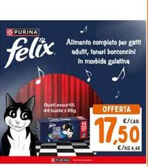 Purina - Felix