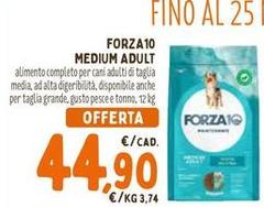 Forza 10 - Medium Adult