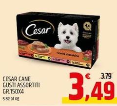 Cesar - Cane 