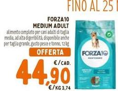 Forza 10 - Medium Adult